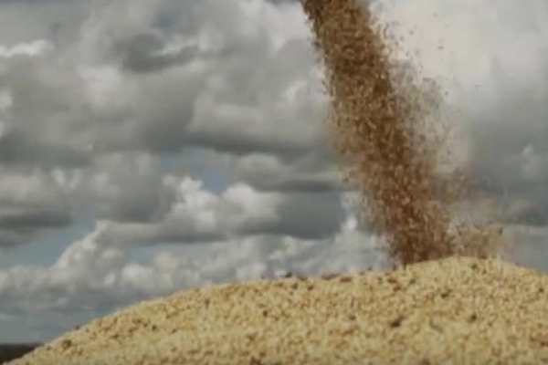 Workshop on Postharvest Losses Brings Together Researchers from Brazil and the United States